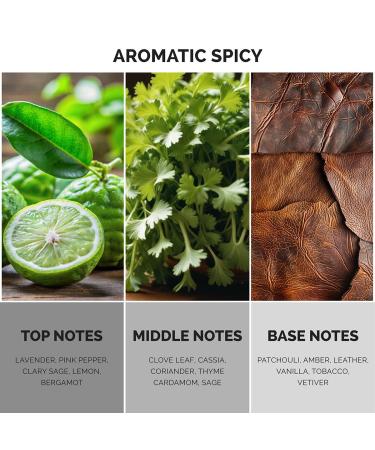 Maison de l'Avenir Vortex Echo - with notes of Lemon Patchouli Clove Leaf and Cardamom - Unisex - Cologne for Men - Perfume for Women - Long Lasting - Fine Niche Fragrance - Buy Online on GoSupps.com