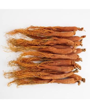 Red Ginseng Red Ginseng Korean Red Ginseng Tea Red Ginseng Root Red Ginseng Supplement Hongshen Original Korean Ginseng Tea RADIX GINSENG RUBRA (32 oz) - Buy Online on GoSupps.com