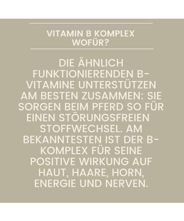 Vitamin B Complex for Horses - 1L Liquid | High Dose B1 B2 B6 B12 | Supports Muscles Immune System Nerve Energy & Metabolism - Buy Online on GoSupps.com