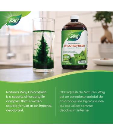 Nature's Way Chlorofresh (Mint) / 474 ml green - Buy Online on GoSupps.com