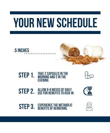 Dr. Westin Childs Dihydroberberine Supplement 200 mg for Women & Men Cardiovascular Gut Thyroid & Immune Support with Alpha Lipoic Acid - May be 5X More Effective Than Berberine HCL | 60 Ct - Buy Online on GoSupps.com