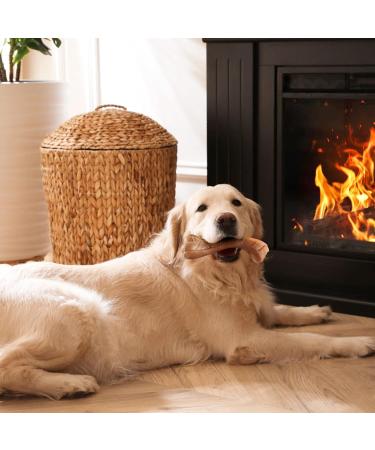 Durable Dog Toy for Big Dogs - Bite-Proof Chew Toys for Aggressive Chewers | Indestructible Puppy Bone 22.8x7.6cm - Buy Online on GoSupps.com