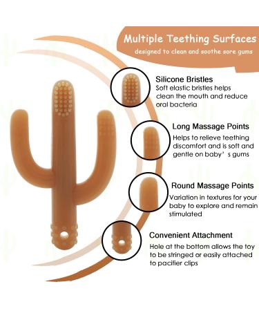 Cactus Baby Teething Toy Toothbrush | Self-Soothing Pain Relief Silicone Teether for Babies, Toddlers & Infants | BPA-Free Organic Teething Toy | 6+ Months - Buy Online on GoSupps.com