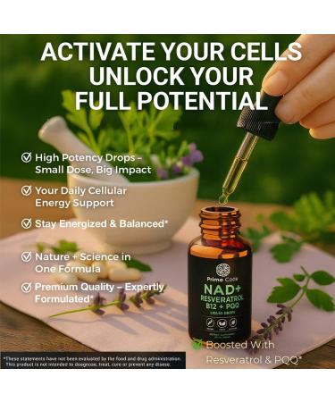 Prime Code NAD+ Liquid Drops with Resveratrol Vitamin B12 & PQQ Advanced Cellular Energy & Antioxidant Support Vegan Non-GMO Gluten Free Fast Absorption Supplement for Men & Women 2 fl oz - Buy Online on GoSupps.com