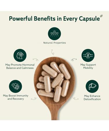 Burdock Root Organic and Bladderwrack 10 in 1 Immunity Booster Power Blend with Irish Sea Moss Ashwagandha and Black Seed Supplement for Men and Women Seamoss Pills Herbal Vegan - 60 Capsules - Buy Online on GoSupps.com