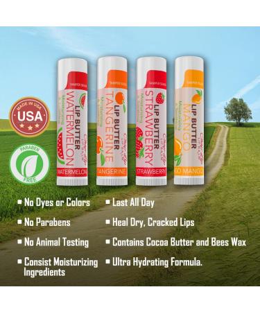 CHAP-LIP Lip Balm 48 Ct | Fruit Flavors, Cocoa Butter & Coconut Oil | Moisturizing Vitamin E Therapy - Buy Online on GoSupps.com