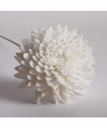 Plawanature Mini Fragrance Sticks - 20 Pieces with Roses Gerbera & Sola Flowers | International Shipping - Buy Online on GoSupps.com