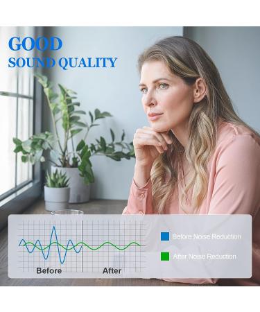 BSLLTER Rechargeable Hearing Aids | Three Modes OTC Digital Noise Cancelling for Seniors | Receiver-In-Canal Dual Microphone (Champagne) - Buy Online on GoSupps.com