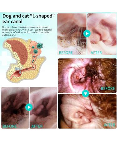 Ear Care For Dogs Ear Cleaner For Dogs Provides Relief For Yeast Infection Ear Mite Treatment For Pets Offers Relief For Pets Suffering From Ear Mites&Built-Up Wax And Dirt.For Puppy Cats And Dogs - Buy Online on GoSupps.com