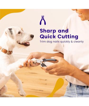 Dudi Pet Claw Scissors for Dogs Cats Rabbits & Guinea Pigs - Safe Nail Cutter Set with Claw Grinder - Small Black/Gray - Buy Online on GoSupps.com