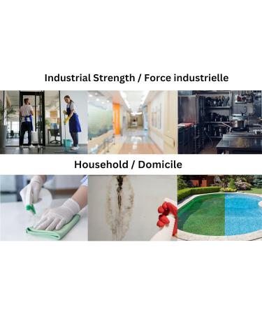 Ato Quat | Disinfectant for Hard Surfaces | Highly Concentrated | Mold Control | Hard surfaces Sanitizer | Hospital Grade | No Rinse | 20 Litres 2 l (Pack of 1) - Buy Online on GoSupps.com