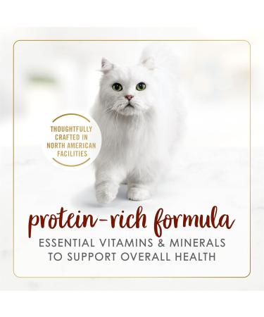 Fancy Feast Grilled Wet Cat Food Turkey Feast in Gravy - 85 g Can (24 Pack) & Fancy Feast Chunks Wet Cat Food Beef Flavour in Gravy - 85 g Can (24 Pack) Cat Food + PET_FOOD 00065000155457 - Buy Online on GoSupps.com