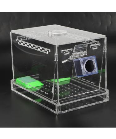 Cricket Keeper and Sturdy Cricket Keeper with Tubes for Home for Office (Small Size) - Buy Online on GoSupps.com