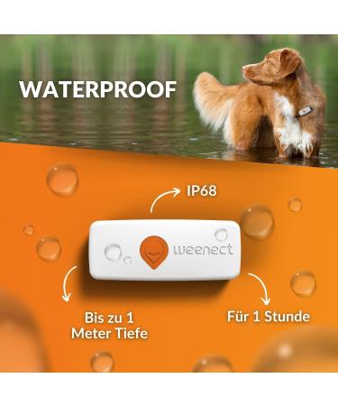 Weeneect XS Mini GPS Tracker for Dogs - Real-Time Tracking Waterproof & Subscription | Smallest Model 2023 - Buy Online on GoSupps.com