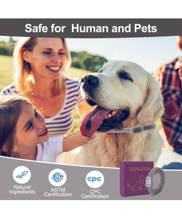 Calming Dog Collar for Anxiety Relief - Pheromone Collar for Dogs in New Environments - Adjustable for Small, Medium, Large Dogs - Grey - 1pc - Buy Online on GoSupps.com