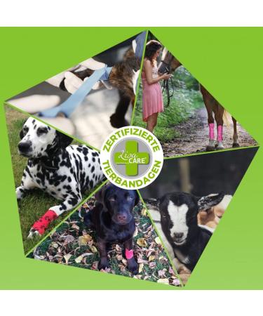 Lisacare Dog First Aid - Waterproof Self-Adhering Paving Rolls - 4cm Wide - Elastic for Pets & Horses - 4-Pack in Paw Blue - Huge Color & Motif Selection - Buy Online on GoSupps.com