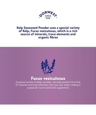 Dorwest Kelp Seaweed Powder 250g Natural Multivitamin Powder for Dogs and Cats Natural Mineral Supplement for Coat Growth and Pigmentation - Buy Online on GoSupps.com