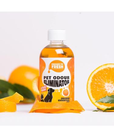 Pet Urine Odour Eliminator & Neutraliser - Natural Cold Pressed Orange Oil Enzyme Cleaner - Makes 4 Litres - Cleans Dog & Cat Smells Carpet Bins Litter Trays - Pet Deodoriser & Repellent - Buy Online on GoSupps.com