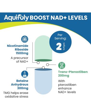 Liposomal Nicotinamide Riboside Supplement 2000 mg with TMG and Pterostilbene for Maximum Absorption, Superior to NAD, Boosting NAD+, Cellular Energy, and Age Defense, 120 Softgels 60 Count (Pack of 2) - Buy Online on GoSupps.com