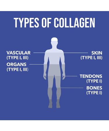 Buy Nature's Plus Marine Collagen Peptides 0.53 lb (244 g) - Premium Hydrolyzed Protein for Skin and Joint Health - Buy Online on GoSupps.com