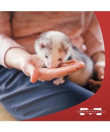 Marshall Pet Products Natural Premium Ferret Diet Food with Chicken Protein 4lb - Highly Digestible | Pack of 1 - Buy Online on GoSupps.com