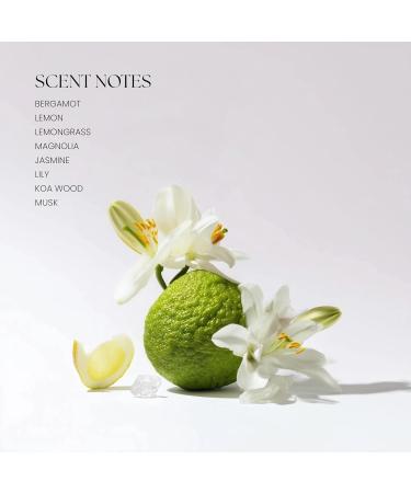 Levona Scent Essential Oil - Fresh Aroma for Home, Office, Hotel & Spa, Ideal for Humidifiers & Diffusers, Hotel Fragrance with Bergamot, Lemon & Lemongrass - 10ml / 0.33 fl oz, 24K Allure 24k Magic 0.33 Fl Oz (Pack of 1) - Buy Online on GoSupps.com