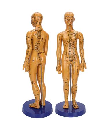 Acupuncture Model of the human body female male copper color meridian acupuncture point model for Chinese medicine teaching acupuncture massage lettering crafts (female model)