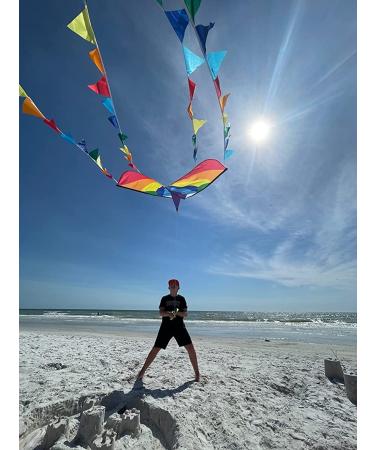 HONBO Large Delta Kite for Kids & Adults - Easy-to-Fly Beach Kite with Colorful Tail - Includes String Line - Ideal for Beginners - Buy Online on GoSupps.com