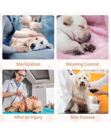 Buy Pumyporeity Surgical Suit for Dogs | Healing Anti-Licking Vest for Abdominal Wounds - XL D Apple - International Shipping - Buy Online on GoSupps.com