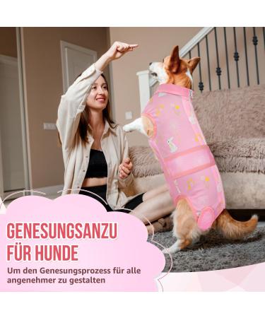 Eyein Dogebody After Op - Breathable Soft One-Piece for Dogs with Zipper & Belt (Light Pink XL) | Pet Wound Protection & E-Neck Band Alternative - Buy Online on GoSupps.com