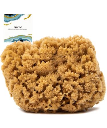 Naroa Natural Sea Sponge for Bathing | Unbleached Shower Body Scrubber Puff | Firm Exfoliating Bath Sponge for Healthy Skin | Eco Friendly Plastic Free Renewable Sponge for Men Women (Medium)
