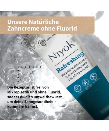 Buy NIYOK Spearmint Refreshing Toothpaste (75ml) | Fluoride-Free Vegan Remineralizing Formula | Eco-Friendly Tube for Healthy Teeth - Buy Online on GoSupps.com
