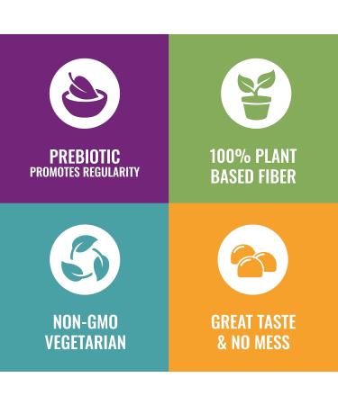 Plant Based Fiber Gummies for Kids - Chicory Root Inulin Prebiotic Supplement - Gluten Free & Non-GMO - 3-Pack - Buy Online on GoSupps.com