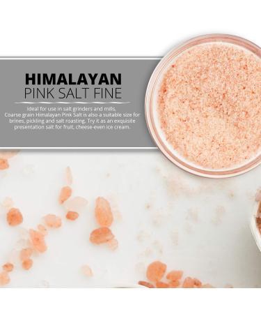 Himalayan Pink Salt Fine Salt Plastic Shaker - 12.49 oz (Pack of 1) | SALT 84 - Buy Online on GoSupps.com
