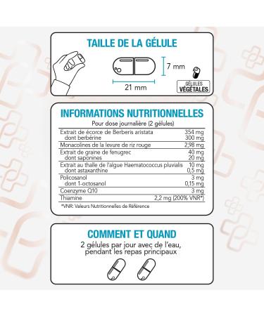Cholesterol Pi Life Levure de Riz Rouge avec Berberis aristata Fenugrec Policosanol Coenzyme Q10 et Thiamine 2 G lules/Jour Compl ments base de plantes Lactose & Gluten Free 180 G lules 1 unit (Lot de 120) - Buy Online on GoSupps.com