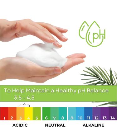 LuLu Made in USA Boric Acid Feminine Wash - pH Balanced Vaginal Wash | 8.5 Fl Oz | Intimate Cleanser for Women - Buy Online on GoSupps.com