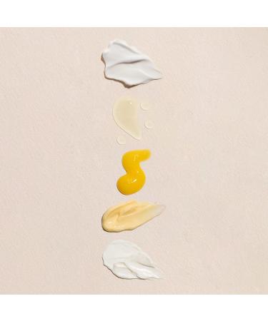 Fleur & Bee Skincare Set Discovery Set 5 Deluxe Minis Moisturizers Serums Eye Cream | Skin Care Gift Set Vegan & Cruelty-Free | Travel Friendly - Buy Online on GoSupps.com