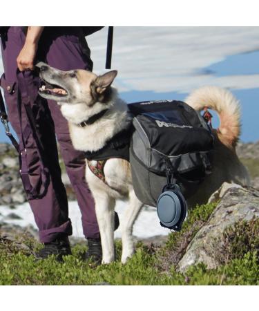Portable Travel Dog Bowl - Collapsible Silicone Pet Bowl for Food & Water | Ideal for Hiking & Walking - Gray - Buy Online on GoSupps.com