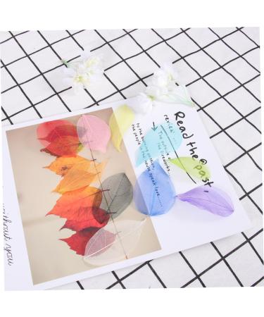 TEHAUX 200 Pcs Leaf Skeleton Art Natural Rubber Leaves Skeleton Natural Leaves Wedding Decor Leaves Charm Pendants Artificial Leaves Craft Skeleton Leaf Bamboo Phone Case Craft Leaf As Shownx2pcs Mx2pcs - Buy Online on GoSupps.com