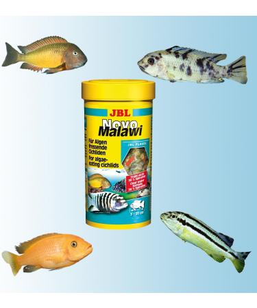 JBL NovoMalawi Complete Food for Algae-Eating Cichlids - 250ml Flakes - International Shipping - Buy Online on GoSupps.com