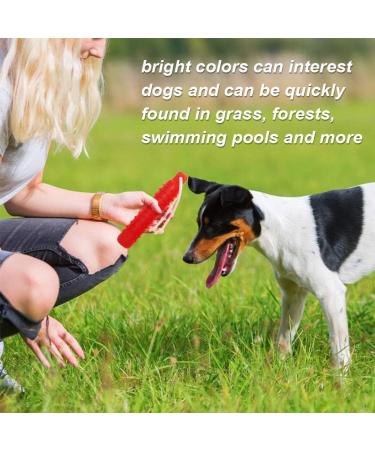 Holoras Dog Swimming Toys - Interactive Retriever Dummies for Small Medium & Large Dogs | Best Pool & Training Toys - Buy Online on GoSupps.com