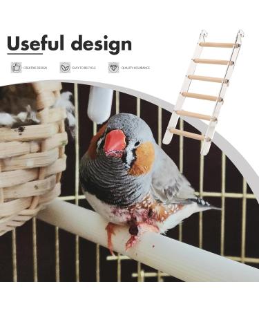 Vanzack Climbing Director for Parrots | Acrylic Vogel Ladder & Wooden Bird Cage Conductor | 26.50x10.00cm | Durable & Safe Pet Accessories - Buy Online on GoSupps.com