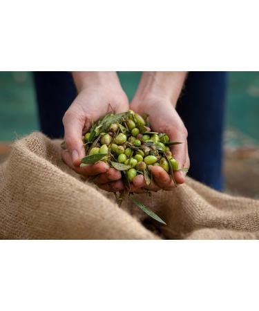 KALIOS - Olive Oil Cuv e 03 - BIB 2.5L - Greece - Extra Virgin - Hand Harvested - Monovarietal KORONEIKI - Buy Online on GoSupps.com