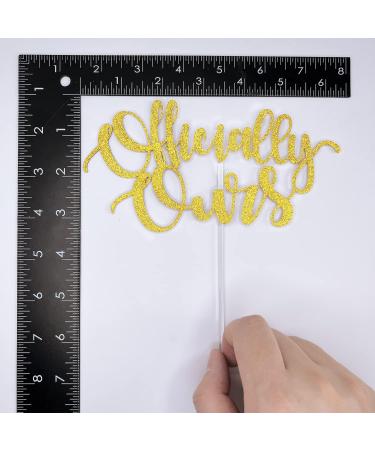 Officially Ours Cake Topper Happy Adoption Day Happy Gotcha Day Cake Topper Child Pet Adoption Party Supplies The Day I Got You Party Decoration Supplies - Buy Online on GoSupps.com