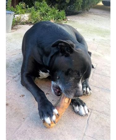 Artisan Gift Co Olive Wood Dog Timer - 100% Natural | Perfect for Dogs 25-40 kg | L-20 cm - Buy Online on GoSupps.com