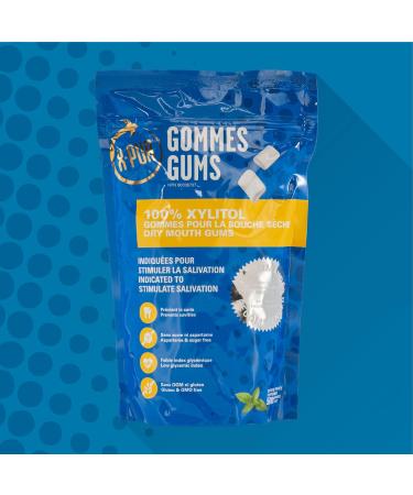 X-PUR - Xylitol Gum For Dry Mouth And Bad Breath - Peppermint Flavored Xylitol Gum - Perfect For Diabetics - Stimulates Saliva - 100% Natural - Gluten-Free GMO Free - Bag of 500 Gums - Buy Online on GoSupps.com