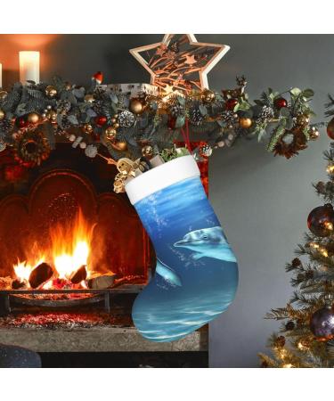 Ffexs Blue Pineapple Christmas Socks | Velvet Holiday Socks with Dolphins | One Size Fits All - Buy Online on GoSupps.com