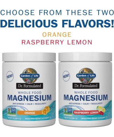 Garden of Life Dr. Formulated Magnesium Powder - Whole Food Orange 7 oz | Natural Magnesium Supplement - Buy Online on GoSupps.com
