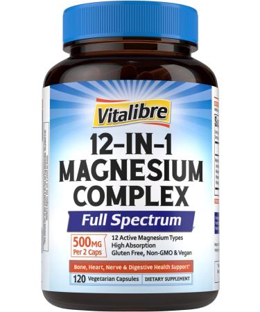 12 in 1 Magnesium Complex Supplement 500mg | Max Absorption Chelated Magnesium Glycinate Citrate Malate & More for Bone, Nerve & Digestive Support | Non-GMO Vegan Capsules (120 Count) 120 Count (Pack of 1)