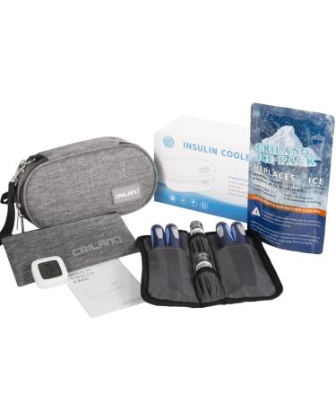 Insulin Cooler Travel case Diabetics Insulated Bag Sets Medical Organizer with 2 ice Packs in a Package and Insulation Liner for Trips (Grey)